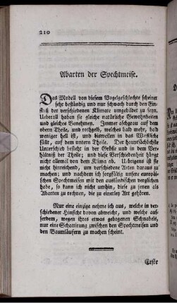 Abarten der Spechtmeise.