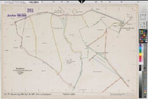 Olfen (Olfen), Umlegung Olfen-Rechede, Planabdruck Flur 39
