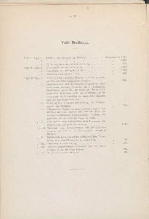 Tafel-Erklärung.