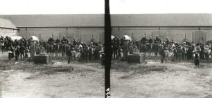 Herbstmanöver der Königlich-Sächsischen Armee