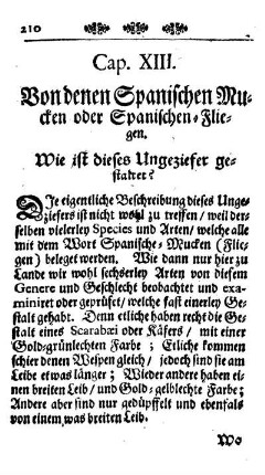 Cap. XIII. Von denen Spanischen Mucken oder Spanischen Fliegen.