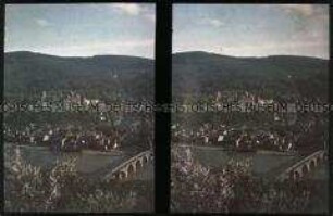 Blick über den Neckar auf das Schloss von Heidelberg