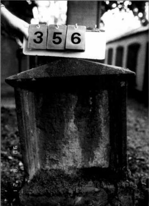 Grabstein 356