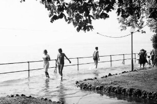 Bregenz: Überschwemmter Landungssteg