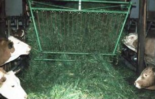 Fotografie: Futtertisch, Fütterung, Futtervorlage, Ladewagen