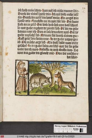 Vom Wolf und dem Schwein.