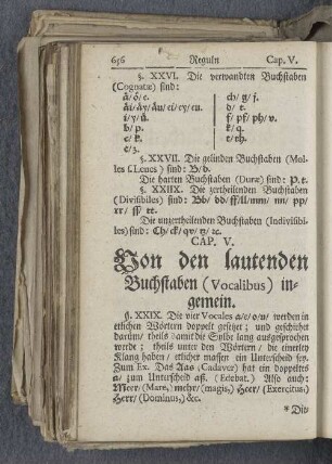 Cap. V. Von den lautenden Buchstaben (Vocalibus) ingemein.