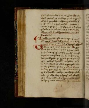 Bulla 'Ne in vinea domini'. Extravag. com. 5.1.1