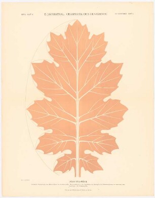 Grammatik der Ornamente: Akanthusblatt, Heft 2. Blatt 18.