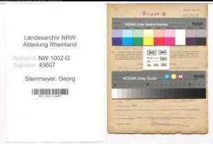 Entnazifizierung Georg Steinmeyer, geb. 12.06.1892 (Kaufmann)
