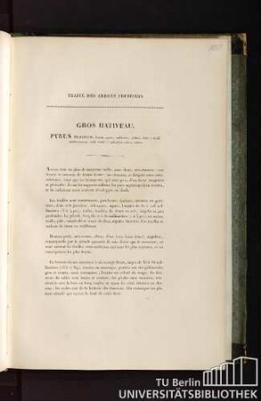 Traité des arbres fruitiers. Gros hativeau. Pyrus nemorum, fructu parvo, turbinato, glabro, hinc e viridi subflavescente, indè saturè et splendidè rubro, aestivo.