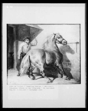 Pferd in der Schmiede