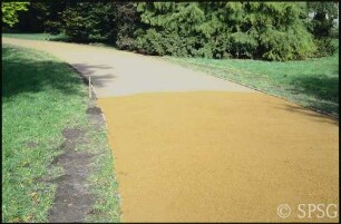 Potsdam, Park Sanssouci, Sanierung des Wiesenwegs Sanssouci.