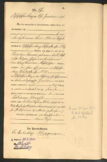 Standesamtsbuch der Stadt Aschaffenburg: Geburten 365/1900 - 184/1901