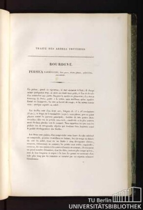 Traité des arbres fruitiers. Bourdine. Persica narbonensis, flore parvo, fructu globoso, pulcherrimo, atro-rubente.