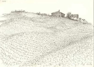 Sturzacker und Gehöft
