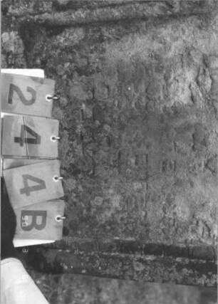 Grabstein 244 (Index: 99608968) Material: Sandstein Zustand: abgeblättert und sehr stark verwittert mit sehr großem Textverlust Maße HxBxT: 122x62x18 cm Beschreibung: Stele, profilierter Sockel, eingezogener Rundbogen mit aufgesetzten Zweigen, Schriftfeld eingetieft Symbolik: Zweige: Grabstein 244B