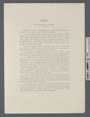 Tafel 40. Verschiedenartige Gewänder.