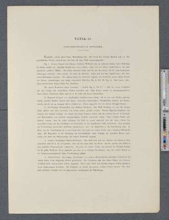 Tafel 40. Verschiedenartige Gewänder.