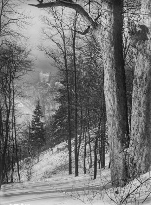 Schloss Burgk : Blick durch den Wald zum Schloss Burgk