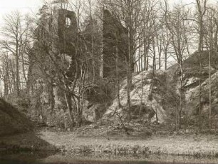Burg Kempe : Ruine, Ansicht von hinten