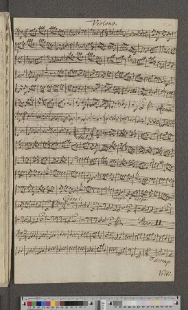 Violino