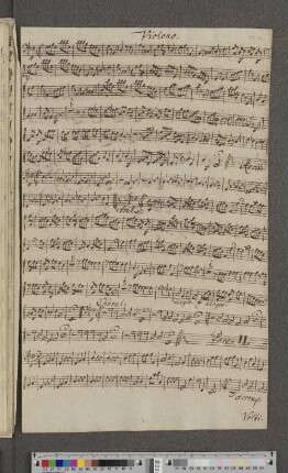 Violino