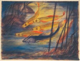 Fische : Gelbke, Georg: Fische. Aquarell; 45,3 x 60,5 cm. Privatbesitz