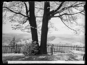Sebnitz: Bl. v. d. Grenadierburg