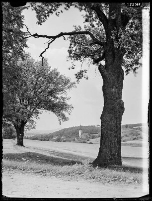 Blick a. Wolfsberg m. Landskrone
