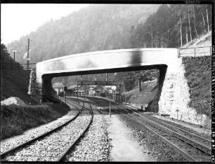 Hirschsprungbrücke im Höllental