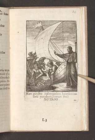 Querelae Piscatorum succurrit S. Xaverius.