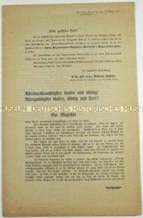 Offener Brief mit dem Wortlaut einer Eingabe an den Kaiser für die Verschärfung des U-Boot-Krieges und dem Vordruck einer Unterschriftenliste
