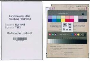 Entnazifizierung Hellmuth Rademacher , geb. 10.08.1900 (Vertreter)