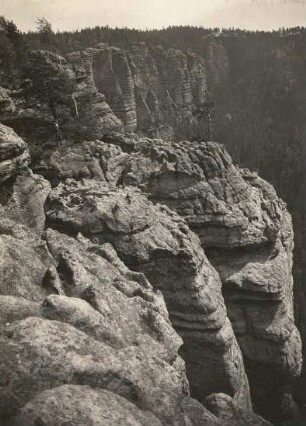 Elbsandsteingebirge. Karrenartige Gipflformen des Sandsteins bei Herrnskretschen