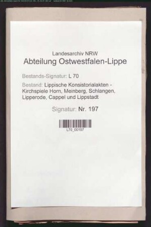 Besitzungen und Einkünfte der Pfarrei, Spezialia (u.a. Hude, Landverkäufe, Errichtung von Häusern)