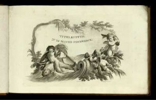 9. Theil,TAF: Marcus Elieser Bloch's Naturgeschichte der ausländischen Fische. 9. Theil