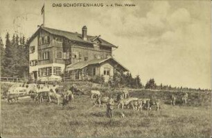 Das Schöffenhaus a. d. Thür. Walde.