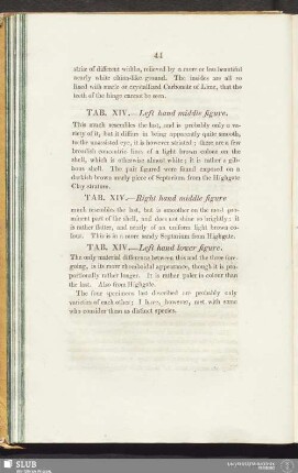 Tab. XIV. - Right hand middle figure
