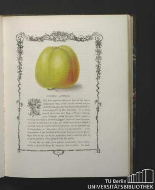 Ord's Apple.