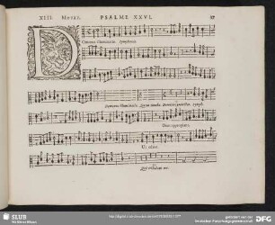 XIII. Dominus illuminatio mea