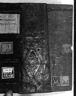 Sermonis fratris Gabrielis - BSB Clm 18989 b