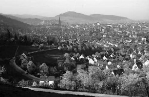 Blick auf Freiburg mit Schönberg durch die Blüten der Eichhalde