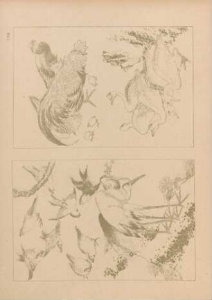 CBB [Oiseaux par Hokusai]