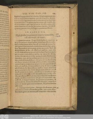 In Caput VII. Quo probatur, primum movens immobile, effe aeternum, & unum.