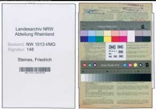 Entnazifizierung Friedrich Steines , geb. 12.07.1903 (Kaufmann)