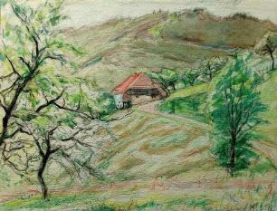 Felsen und Blumenwiese im Schwarzwald