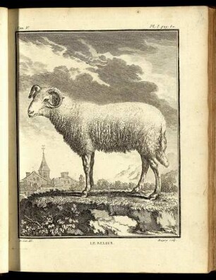 Pl. I. [bis] Pl. VII.