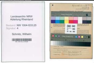 Entnazifizierung Wilhelm Schmitz , geb. 26.05.1899 (Direktor)