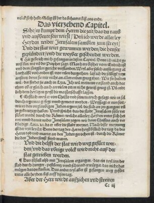 Das vierzehend Capitel.